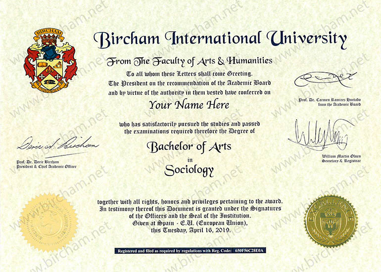 Bachelor (Título Superior) Bachelor (Título Superior)